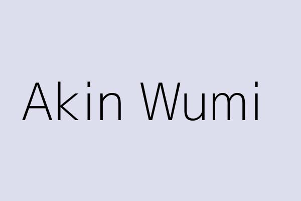 Akin Wumi 